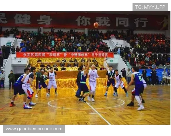 体育直播登录流程优化，确保用户安全便捷地进入精彩赛事现场