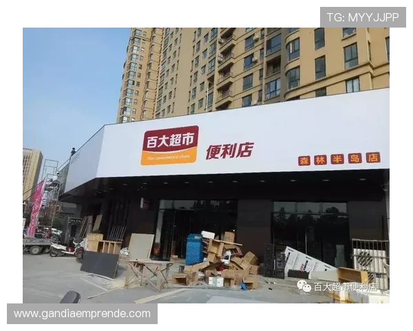 半岛注册服务体系优化提升企业注册效率与便利性