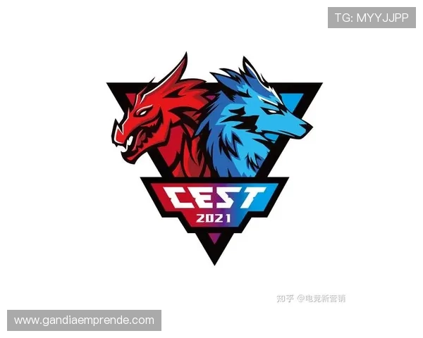 三亿体育线上官方入口:安全保障措施与账号保护策略全攻略