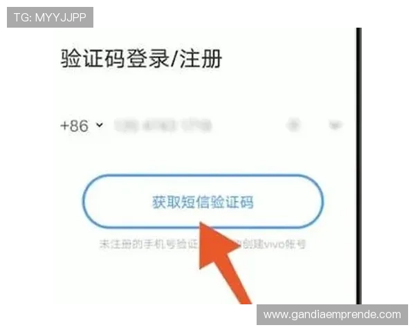 开云登录常见问题及解决方法详解让玩家轻松应对登录困难