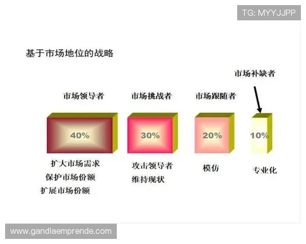星空体育直营平台的用户数据分析与精准营销策略探讨